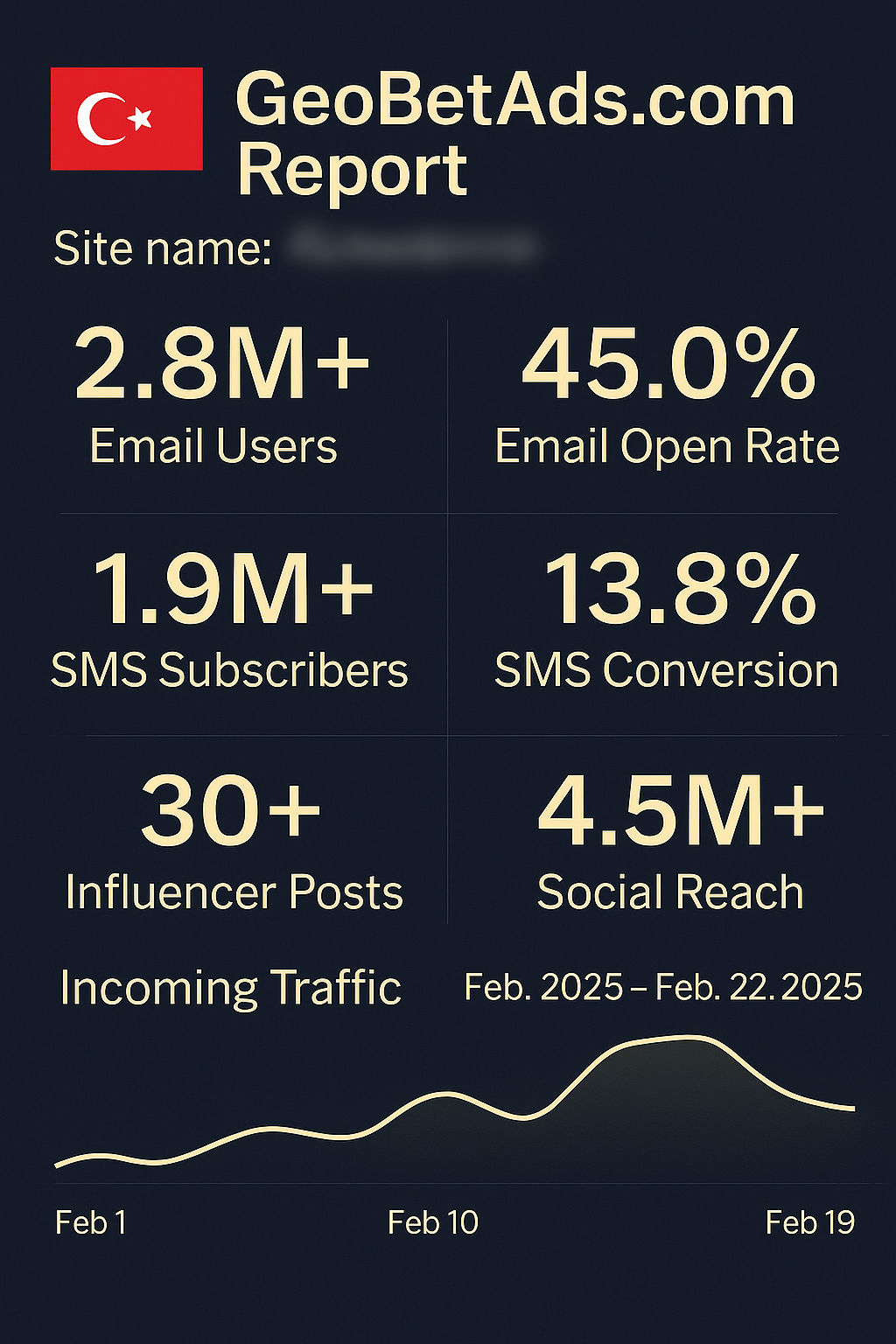 Target Real Turkish Players. Get Real Results. GeoBetAds report